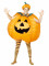 Voir les détails sur le produit Déguisement citrouille gonflable adulte Halloween