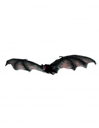 Chauve-souris volante