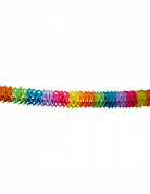 Guirlande en papier multicolores