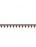 Guirlande fanions pirate 4 m�tres