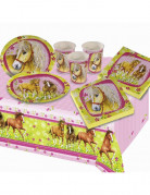 Set 19 pi�ces Chevaux