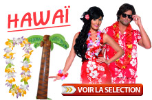 deguisement hawai
